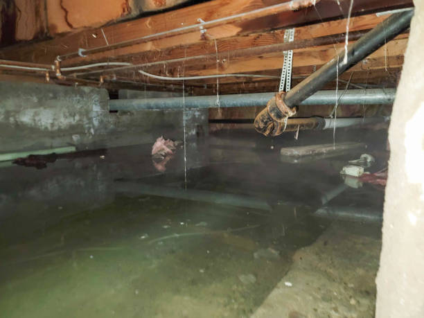 Best Flooded house restoration  in Garden City, MO