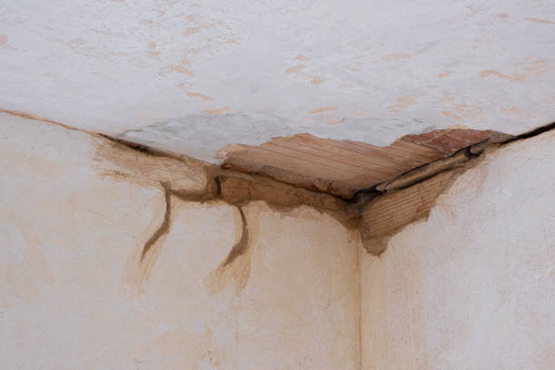 Best Flood damage cleanup  in Garden City, MO