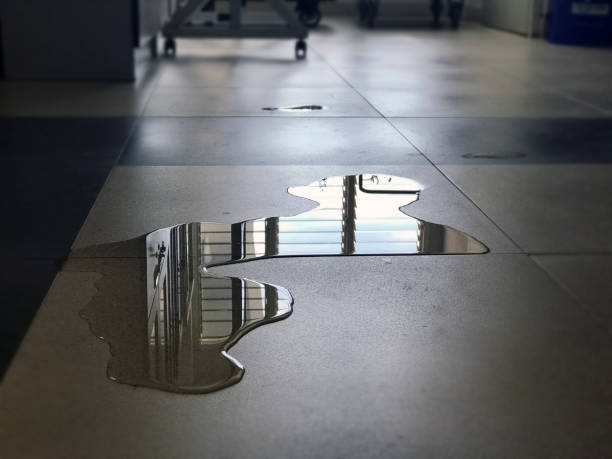 Best Water damage repair service  in Garden City, MO