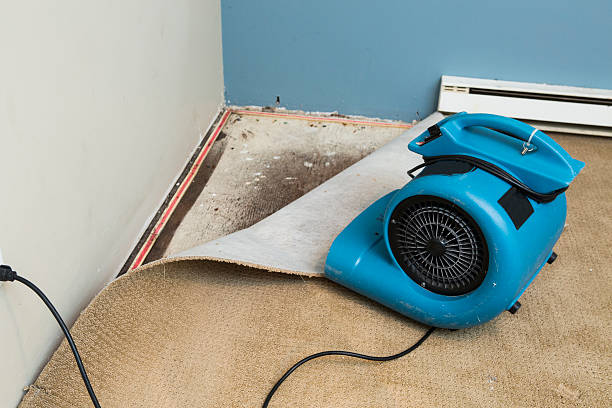 Best Professional water damage repair  in Garden City, MO
