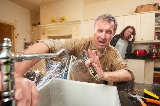 Best Water damage cleanup near me  in Garden City, MO